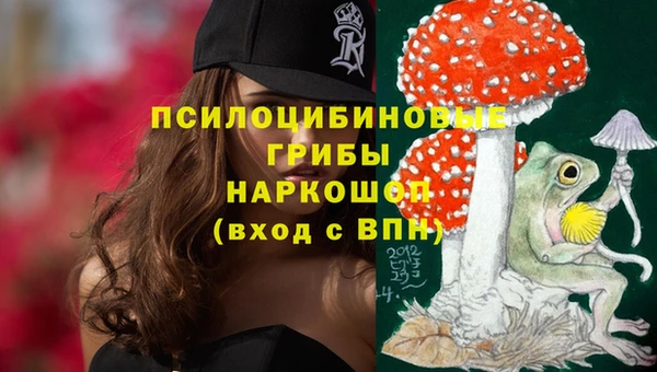 сатива Арсеньев