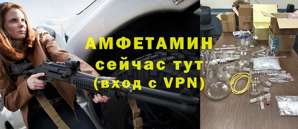 сатива Арсеньев