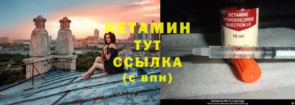 сатива Арсеньев